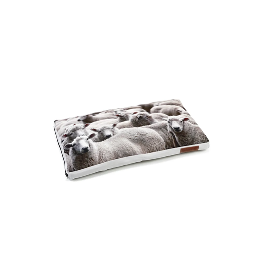 Colchester Pillow in Grey