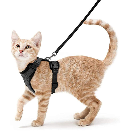 Thsinde - Cat Harness Small Dog Leash Adjustable Kitten Harness Red m Collar Reflective Cat Harness Breathable Vest for Rabbit, European Cat, Maine
