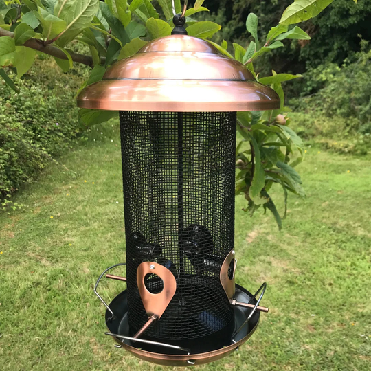 Fiqueroa Tube Bird Feeder
