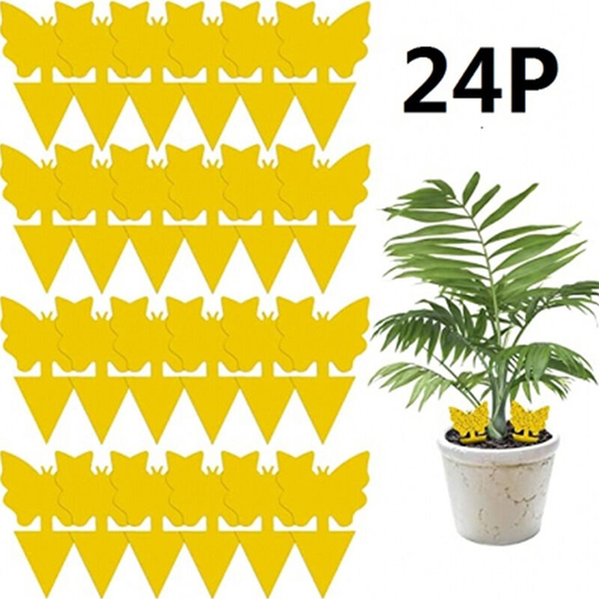 Indoor Sticky Mouse Trap Yellow Insect Trap Indoor Fruit Fly Battery Trap 24 Traps
