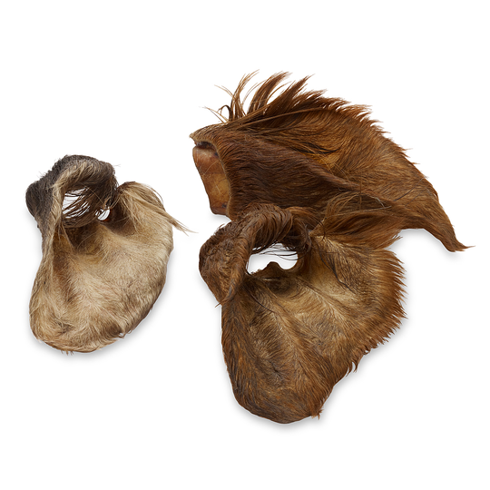 Wolf of Wilderness Dried Ears Dog Chews Trial Pack - Dried Cow Ears with Fur (approx. 120g, approx. 3 pcs)