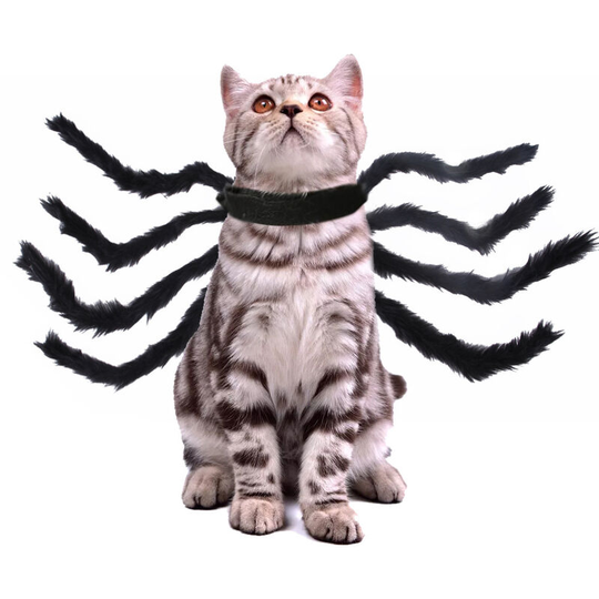 Pet Chest Back Strap Cats Dogs Animals Spider Transformation Costume Clothes for H-alloween Christmas Xmas Festival Holiday Present Gift