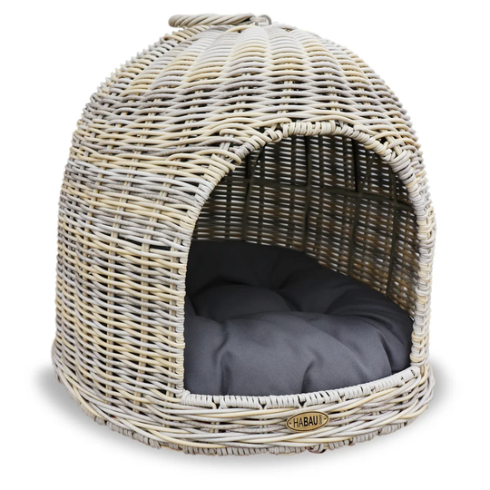 Choice Cat Basket with Cushion