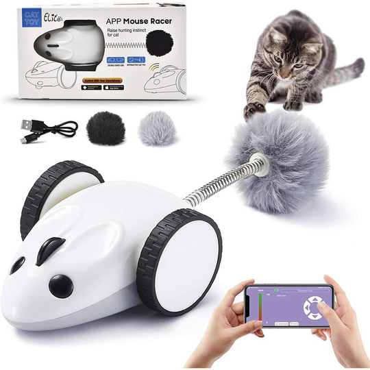 Interactive Robotic Cat Toys,APP Controlled Automatic usb Charging 360 Degree Cat Toys,Automatic Feathers Toys for Cats/Kitten,Build-in Spinning Led