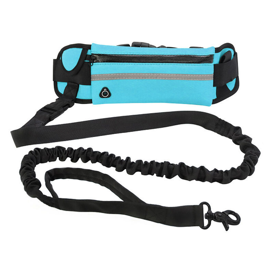 Pet leash, belt bag leash blue - Muff