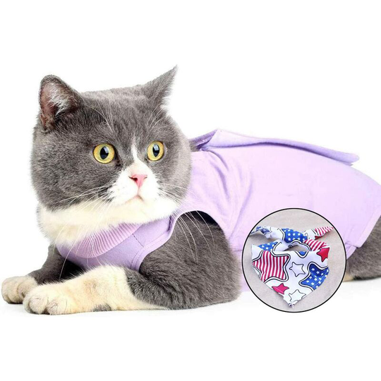 Cat Recovery Vest Anti-lick Medical Kitten Jumpsuit Suitable for Abdominal Wounds or Skin Diseases Weaning and Post-Surgical Protection (m, Purple)