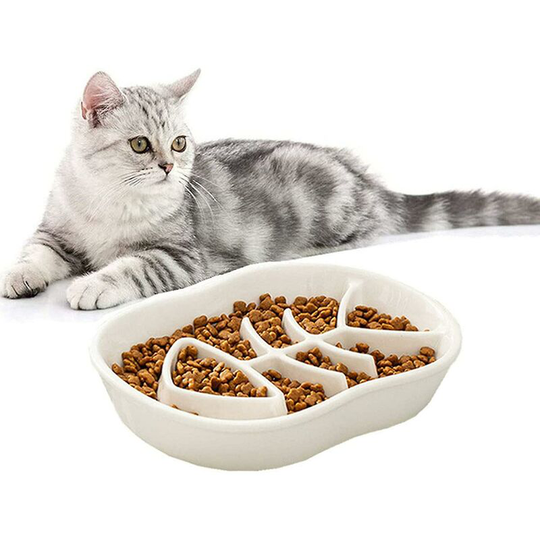 White Ceramic Slow Feeder Cat Dog Bowls - Unique Fishbone Fun Design