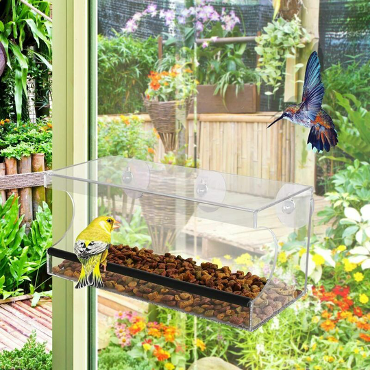 Bamny - c Large Bird Feeder with Removable Tray, Hanging Acrylic Clear Window Mount,Easy to Clean and Fill,6 Suction Cups, 30.2 x 10.2 x 13 cm, Gray
