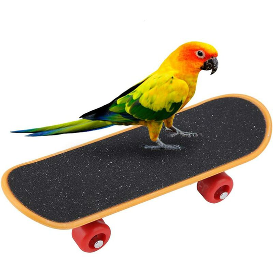 Parrot Skateboard, 5.5 Inch Mini Training Skateboard Funny Intelligence Toy for Small and Medium Birds
