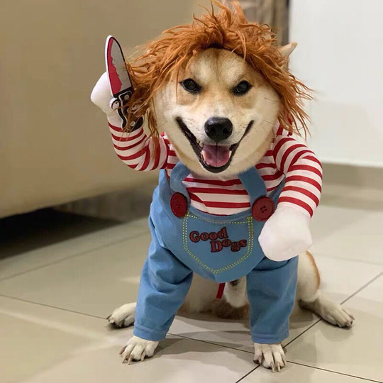Fun Pet Dog Costume Doctor Suit Puppy Cosplay Costume Coat with Pill Box Doctor Uniform Costume for Halloween Dog Cat m