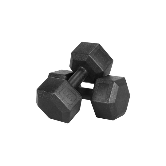 (10.0 Kilograms) Yaheetech Dumbbells Set Arm Hand Weight Dumbbell