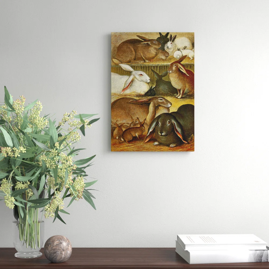Vintage Natural History Tame Rabbits Painting Print on Canvas