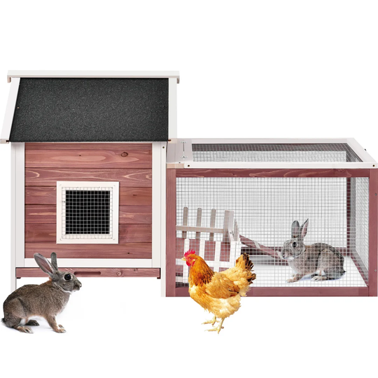 Coppock Weather Resistant Hutch with Ramp