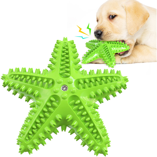 Dog Chew Toy, Dog Toothbrush Toy, Natural Rubber Squeak Toy, Interactive Pet Toy / Educational Toy for Medium Dogs Green