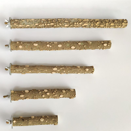 Set of 5 natural wood perches for budgerigar, essential accessory in birdcage