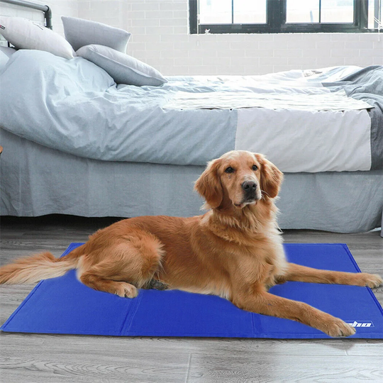 Dog Mat/Pad