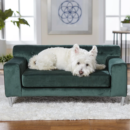 Heiser Dog Sofa in Emerald