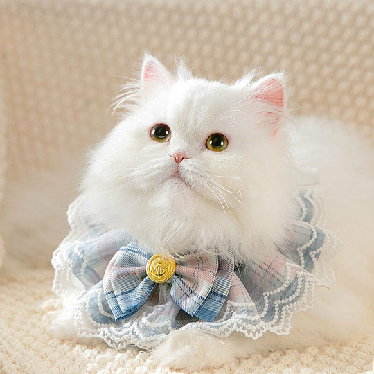 2 pieces of plaid scarf cat lace scarf dog puppet small dog collar