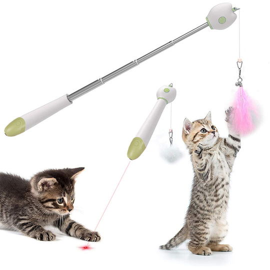Devenirriche - Cat Toys for Indoor Cats Pet Interactive Projection Toy, Multifunctional Cat Training Tool Give Your Cat More Care and Happiness, green