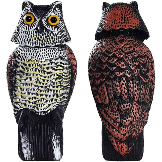 Echoo - Owl with 360° Rotating Head Scare Birds/Pigeon/Seagull/Crow Plastic Realistic Owl Owl Statues Owl St