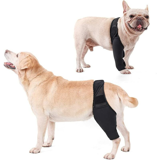 Dog kneever - Professional protections of the front and back leg of the dog, dog legs for ligament sprains of the front or back leg of the dog (s)