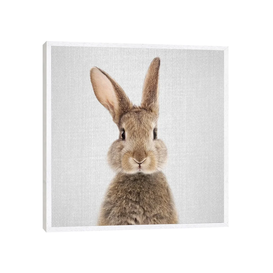 'Rabbit' by Gal Design - Floater Frame Graphic Art Print on Canvas