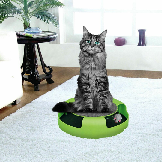 Catch the Mouse Cat Moving Interactive Scratching Toy