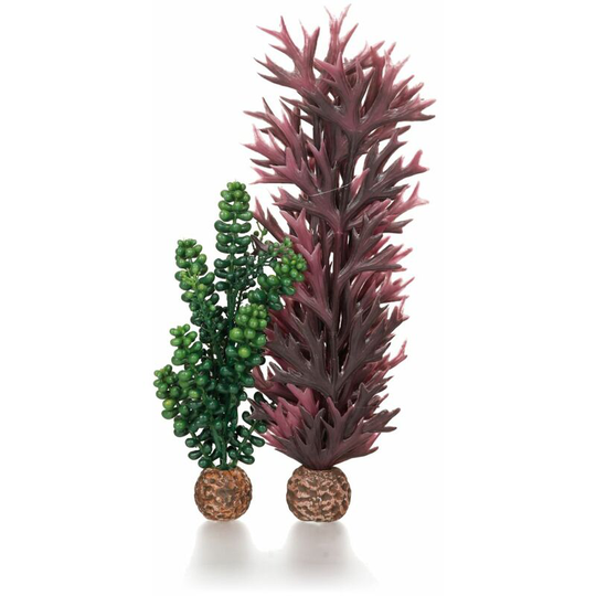 Biorb - Oase Aquarium Decoration Seapearls and Kelp Medium