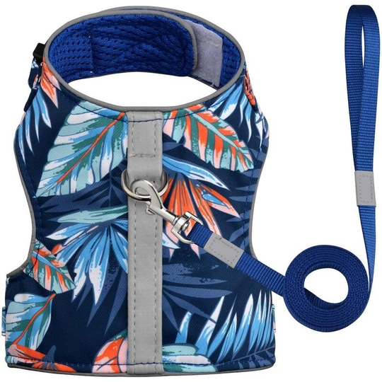 Pet Harness for Cat and Small Dog Puppy, with 1.5m Nylon Leash, Anti Lost Sticker (XS, Navy Blue) SOEKAVIA