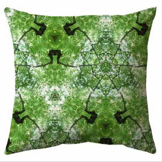 Dallin Cushion with Filling