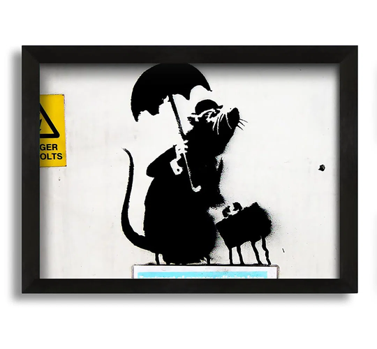 Rat Box Framed Print - Picture Frame Graphic Art on Canvas