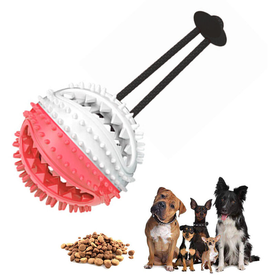 Pet Toys Ball Dog Food Dispensing Ball Chew Interactive Toys for Puppy Teeth Cleaning Chewing Bite Resistant Exercise Traning Toy for Medium Small