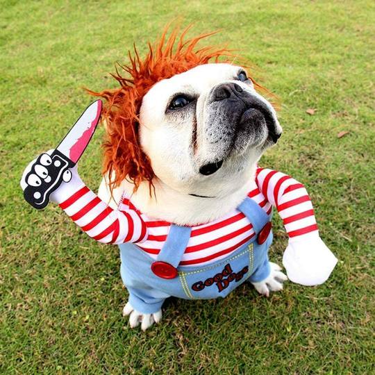 Aougo - Deadly Doll Dog Clothes, Pets Costume Halloween Cosplay for Dogs, Funny Dog Party Clothes Hat Christmas Costume Dog Party Clothes (m)