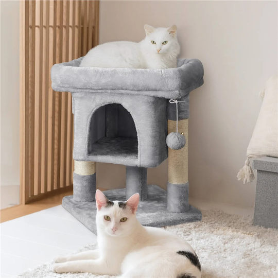60cm Esparza Cat Tree