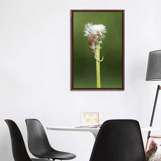 Now You See Me Harvest Mouse by Dean Mason - Photograph Print on Canvas