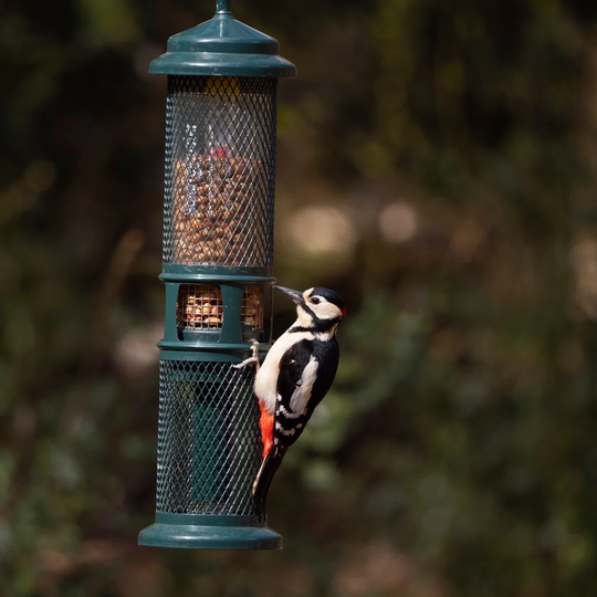 Squirrel Buster Peanut - Squirrel-proof Bird Feeder - Lifetime Guarantee