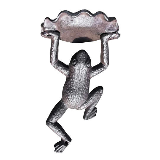 Frog Wall Mounted Bird Feeder