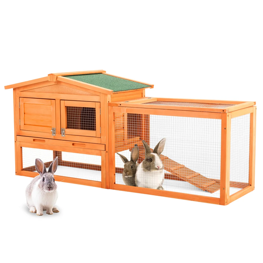 Lyla Weather Resistant Rabbit Hutch with Ramp