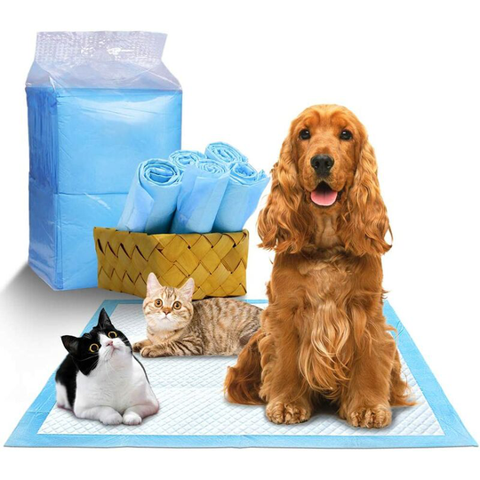 Bearsu - Educator Learning Mat, Dog Puppy Cleaning Mat, Disposable Alese Puppy Waterproof Floor Protector Mat for Dogs, Cats-Pack of 40, 60 * 60cm