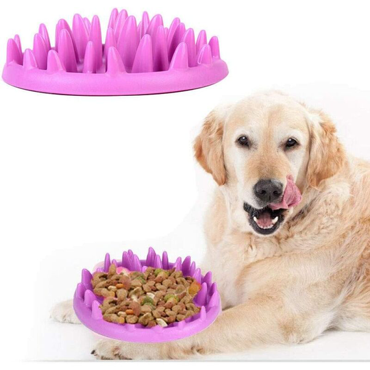 Lengous Dog Power Powder, Anti Glutton Cat Glutton Glutton, Promotes Healthy Food and Slow Digestion