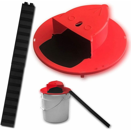 Heguyey - Mouse trap professional, rat trap, snap trap, single mouse trap, automatic rat trap, mouse trap, rat trap for indoor kitchen, home garden