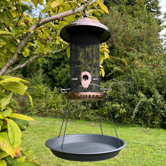 Allonte Tray Bird Feeder