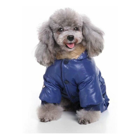 Dog Clothing Dog Clothes Jacket Clothes Air Army Clothing Four-legged Clothes Clothes of the Air Force Clothing Pet clothes Winter clothing (blue xs)