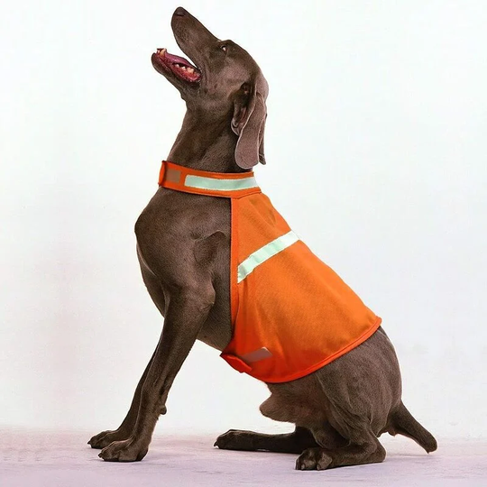 Reflective Dog Vest High Visibility Adjustable Strap Safety Vest Keep Your Dog Visible and Safe From Car Accidents and Hunting (1 Pack, Orange, m)