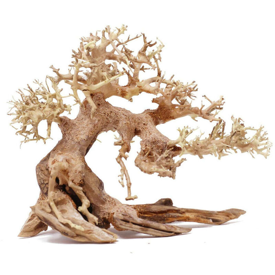 Benobby Kids - Aquarium Decoration - Zen Artificial Bonsai Plant for Aquascaping and Aquatics - Natural Aquarium Accessory with Root and Wooden