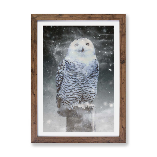 'Snowy Owl on a Perch' - Picture Frame Graphic Art Print on Paper