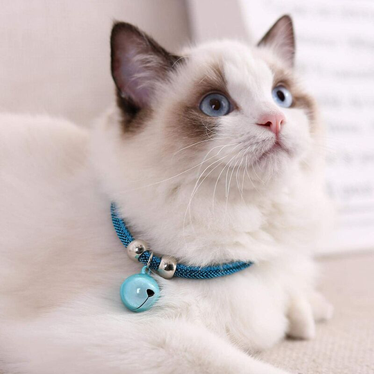 Perle Rare - Japanese Cat Collar Adjustable Pet Collar Kitten Collar Supply Cat Bell Collar with Extension Chain
