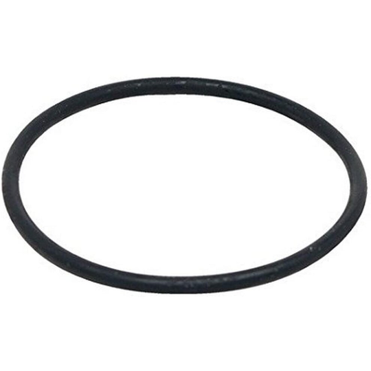 Fluval Motor for Filter FX5 and FX6