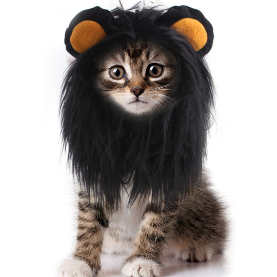 Lion Mane Wig, Adjustable Pet Costume with Ears for Dog,Headgear Wig Hat Pet Dog Cat Headgear Puppy Cat Clothes Lion Headgear (Black)