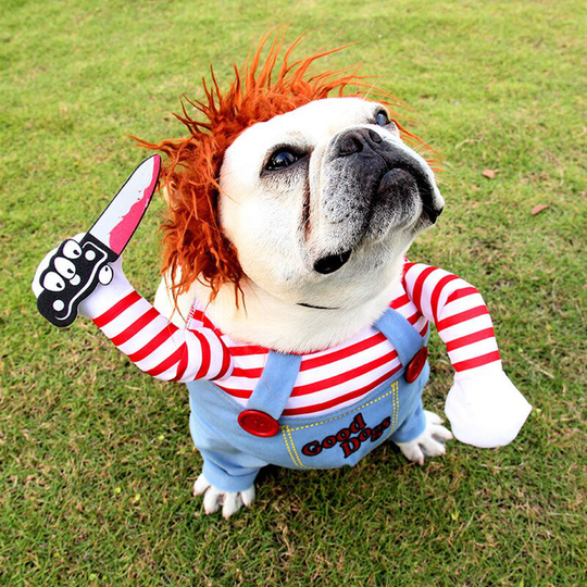Terrible Dog Costume Pet Halloween Clothes Cat Cosplay Party Costume Funny Dog Costume Small to Large Dogs